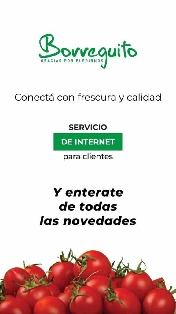 BORREGUITO SERVICIO DE INTERNET para clientes